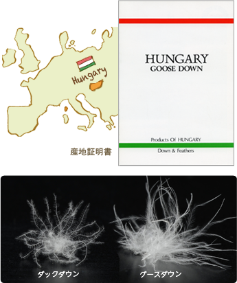 ハンガリーの産地証明付