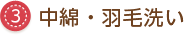 中綿・羽毛洗い
