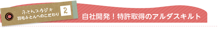 特許取得のアルダスキルト